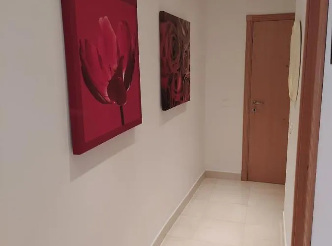 Turistico Nautica 1, 2°c ネルハ